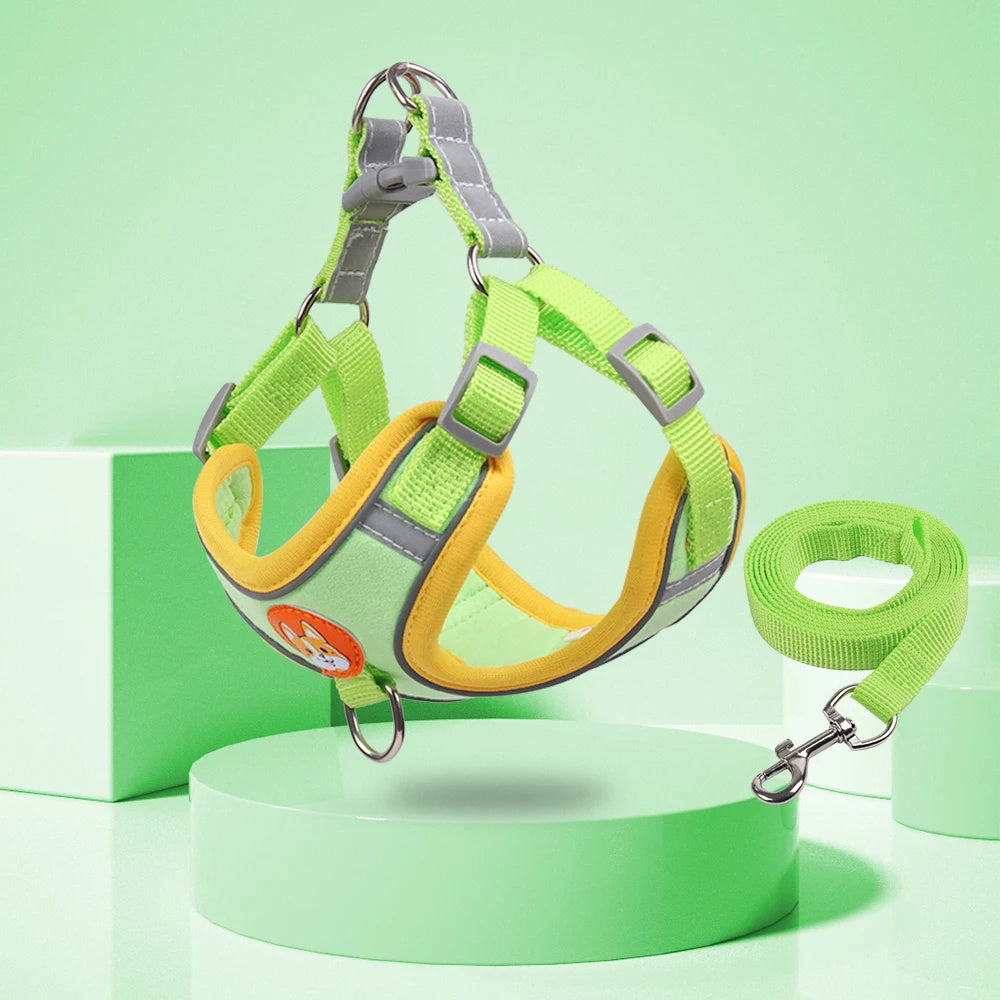 Adjustable Dog Harness & Leash Set