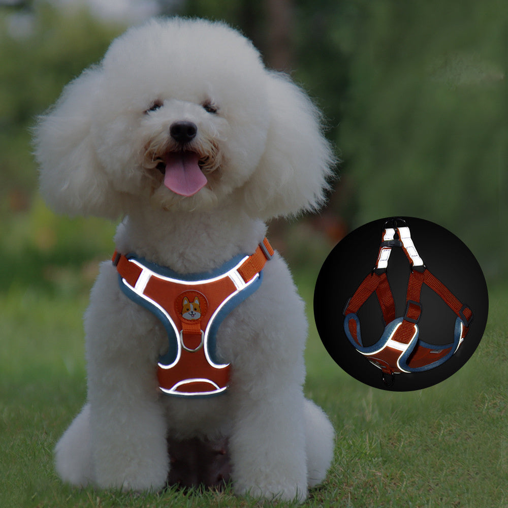 Adjustable Dog Harness & Leash Set