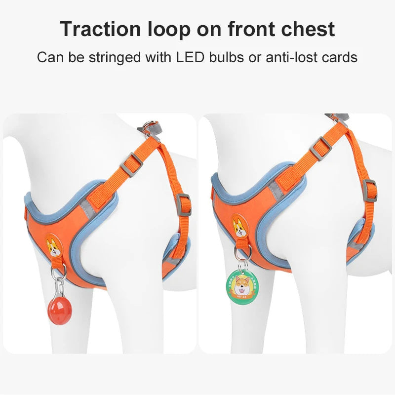 Adjustable Dog Harness & Leash Set