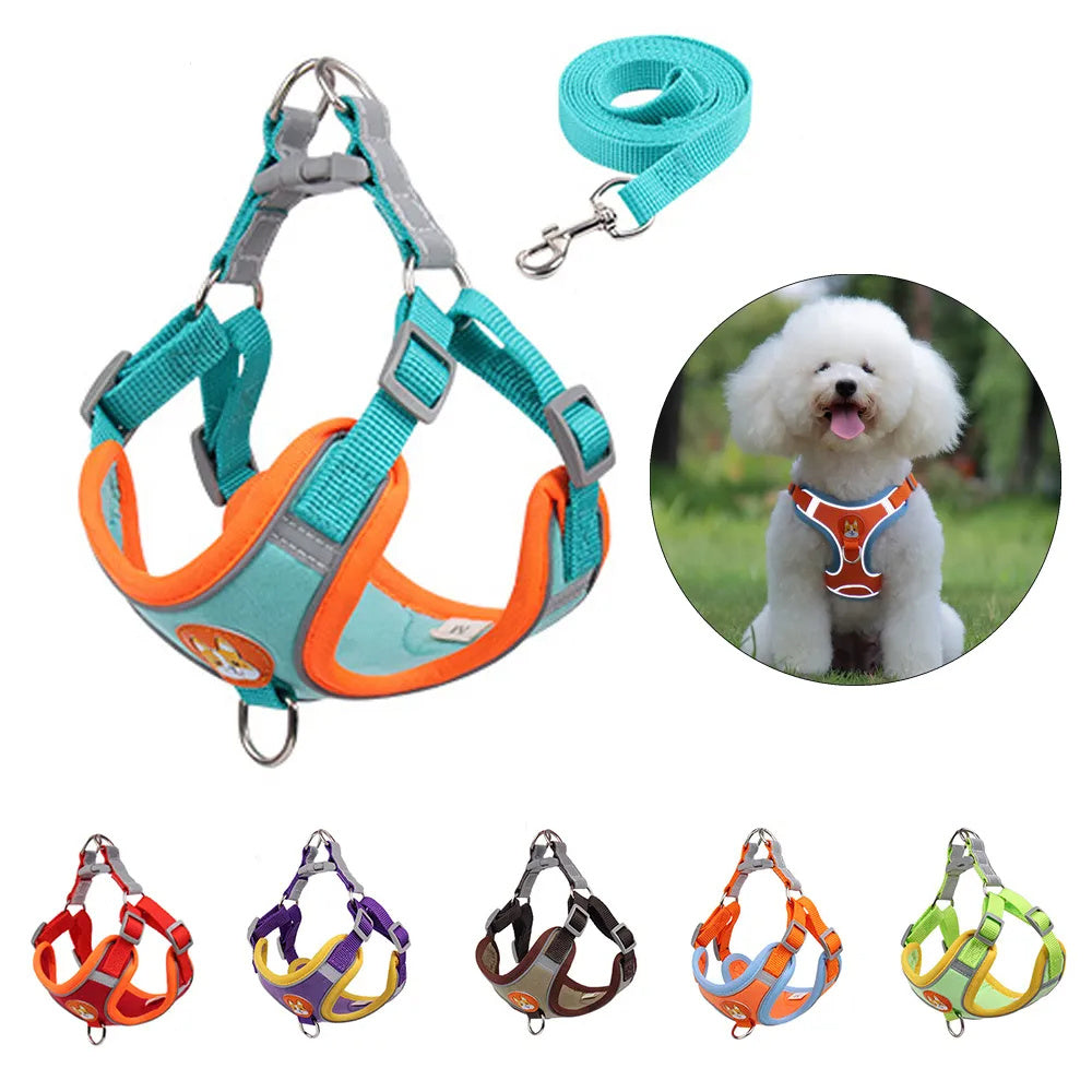 Adjustable Dog Harness & Leash Set