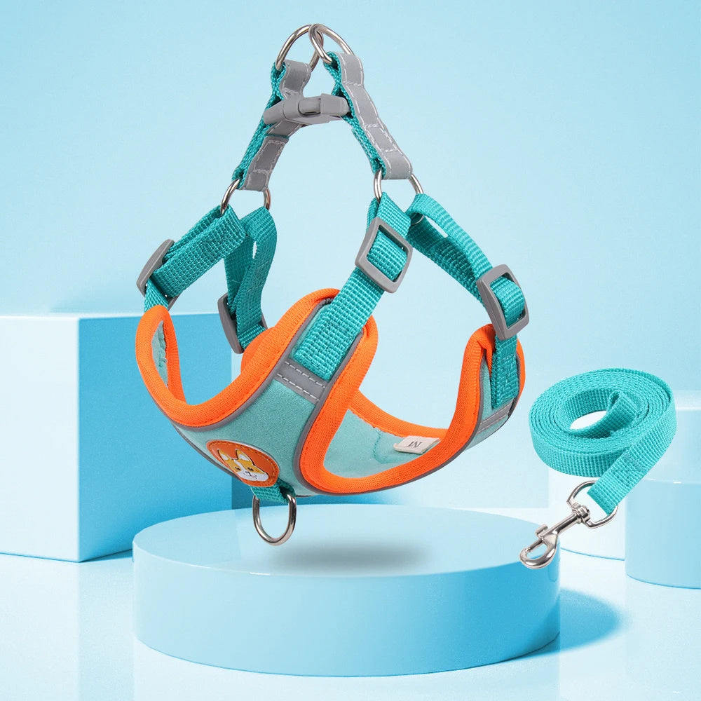 Adjustable Dog Harness & Leash Set