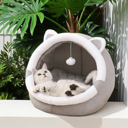 All-Season Semi-Enclosed Cat House & Dog Kennel