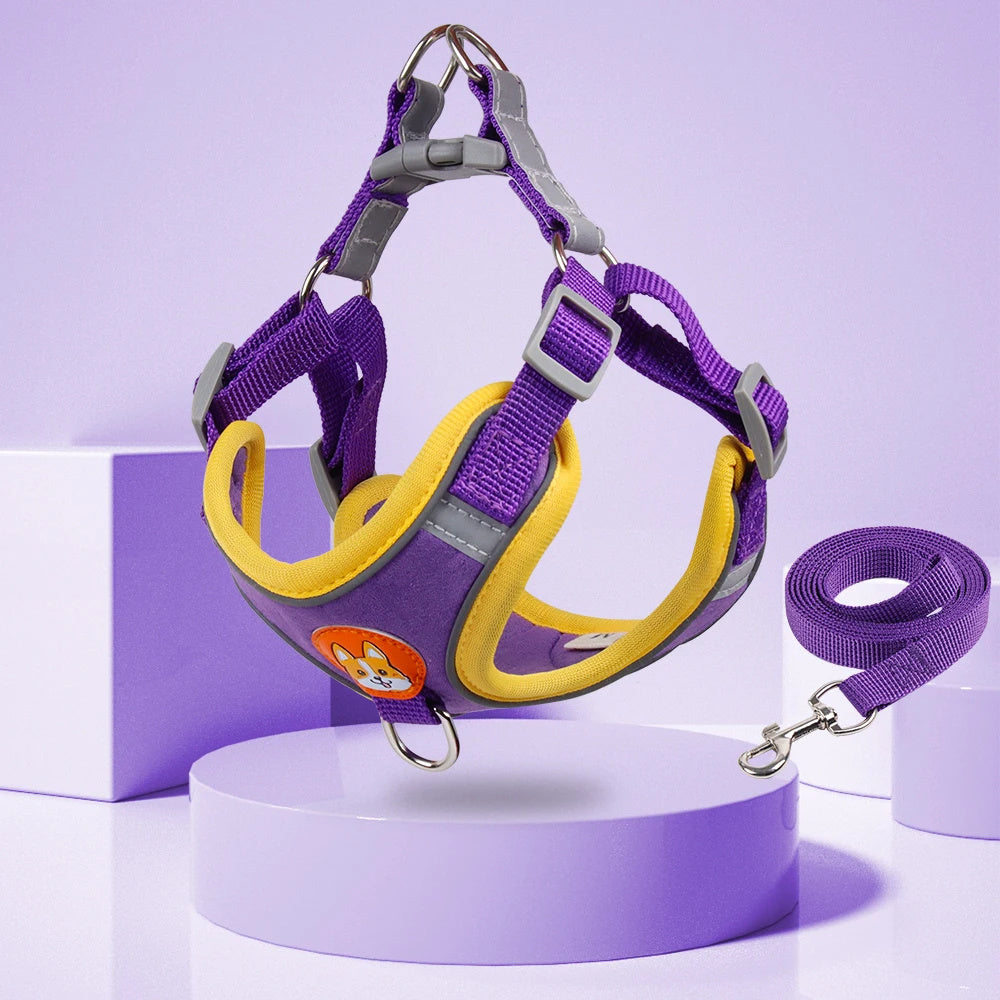 Adjustable Dog Harness & Leash Set