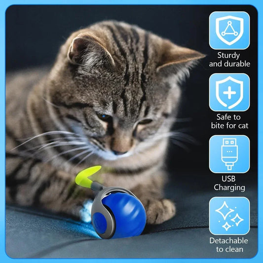 Smart Interactive Pet Ball