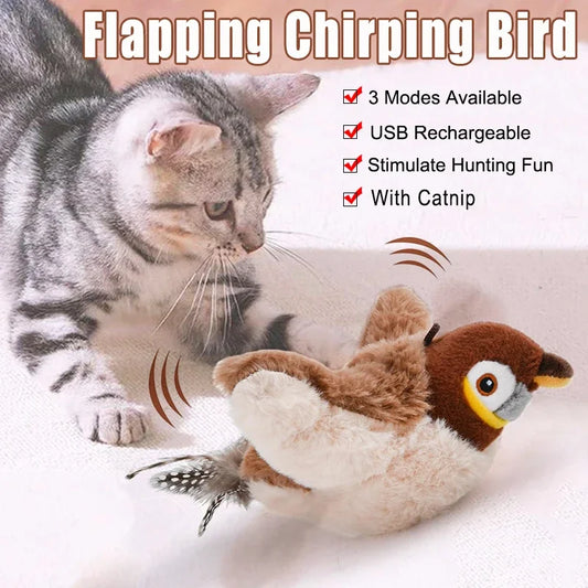 Catnip Squeaky Bird Toy