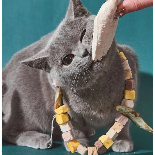 Freeze-Dried Pet Snacks – Chicken, Duck, Beef & Fish