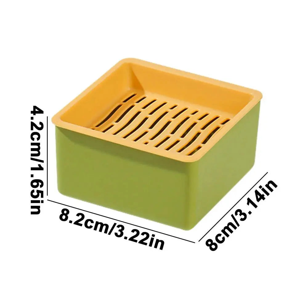 Cat Grass Planter Kit