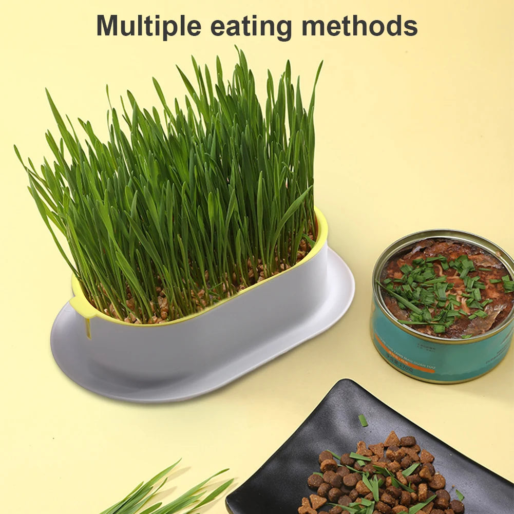 Cat Grass Growing Box – Hydroponic Planter for Pets
