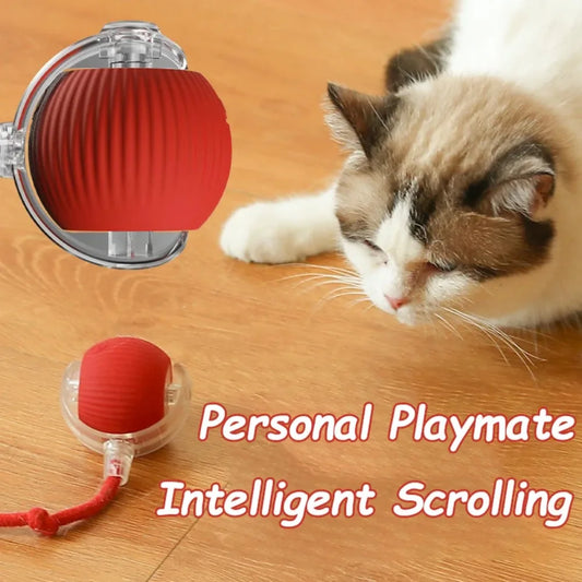 Smart Rolling Cat Ball Toy