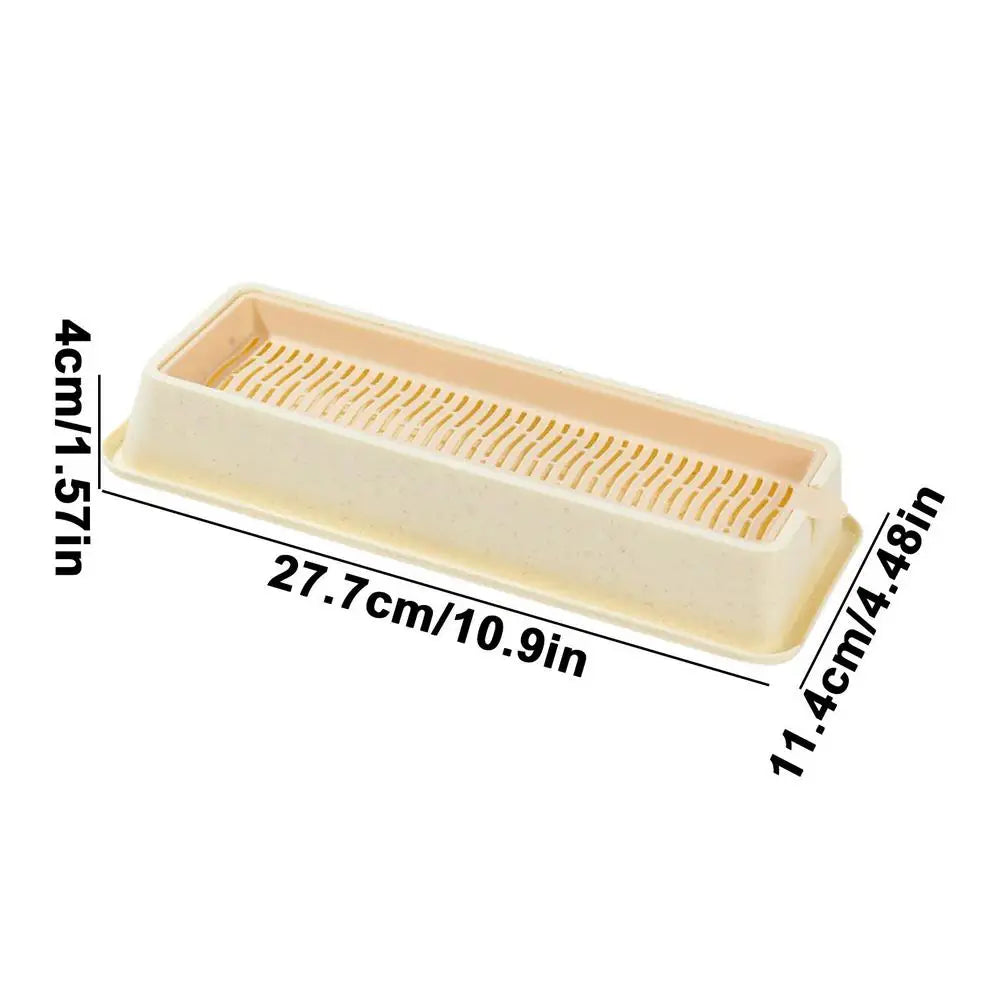 Cat Grass Planter Kit