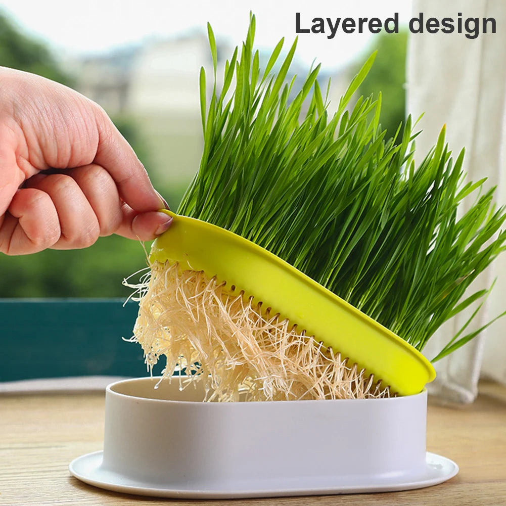 Cat Grass Growing Box – Hydroponic Planter for Pets