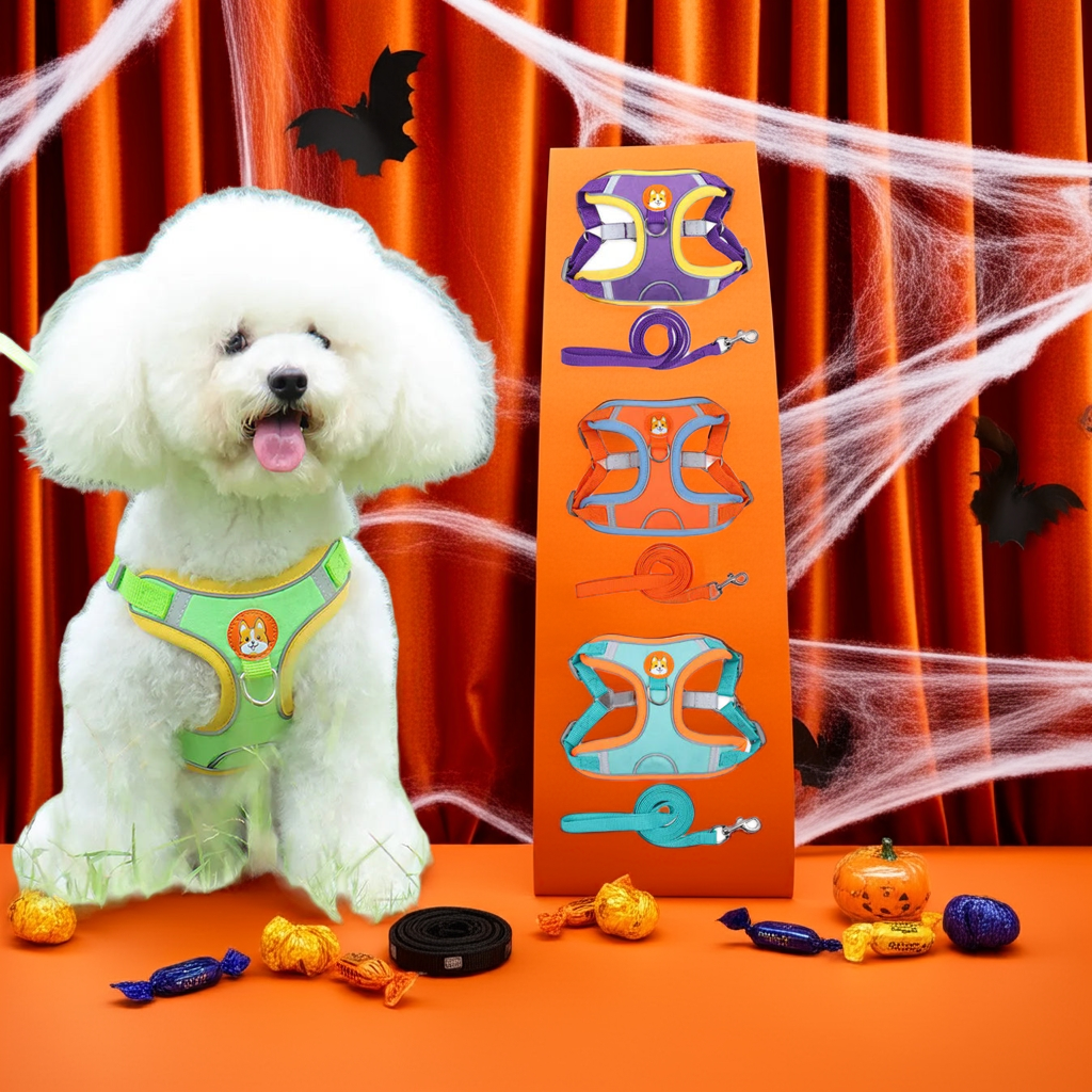 Adjustable Dog Harness & Leash Set