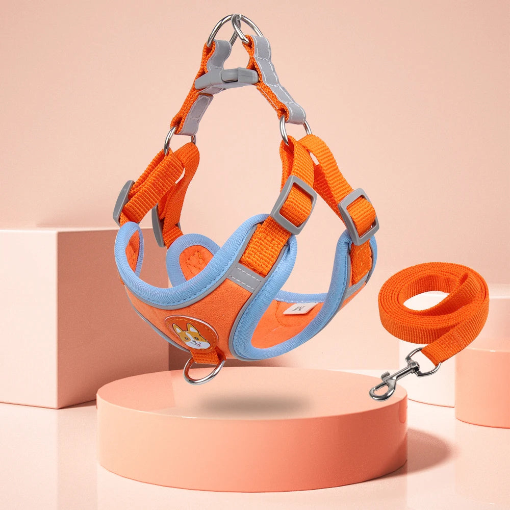 Adjustable Dog Harness & Leash Set