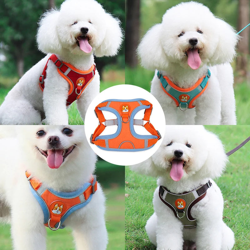 Adjustable Dog Harness & Leash Set