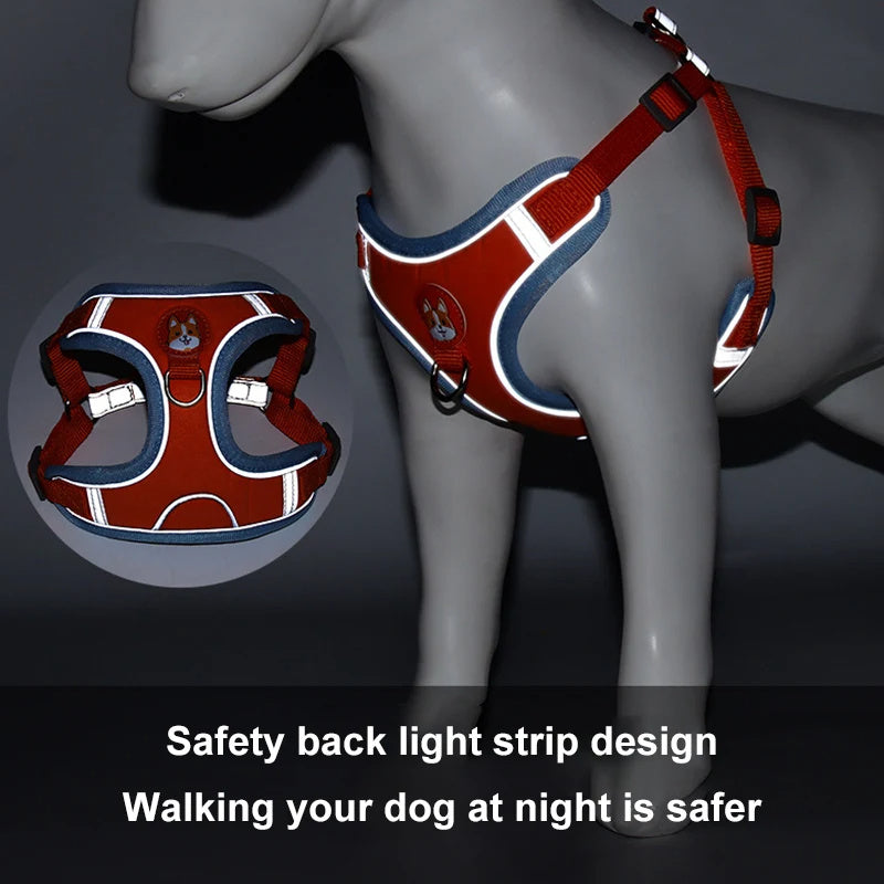 Adjustable Dog Harness & Leash Set