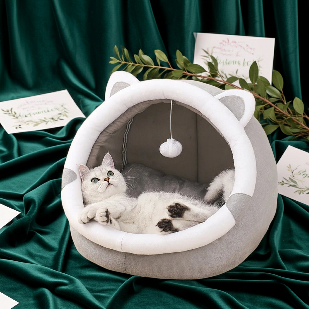All-Season Semi-Enclosed Cat House & Dog Kennel
