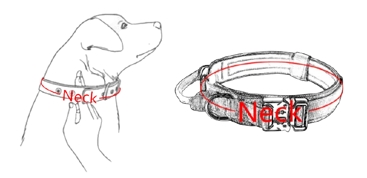 Adjustable Nylon AirTag Dog Collar – Metal Buckle