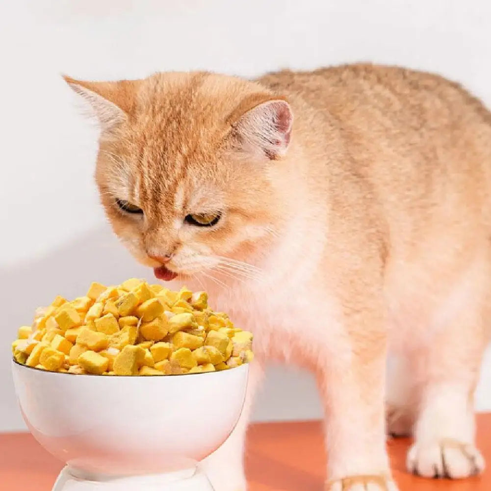 Freeze-Dried Egg Yolk Cat Snacks – 40g