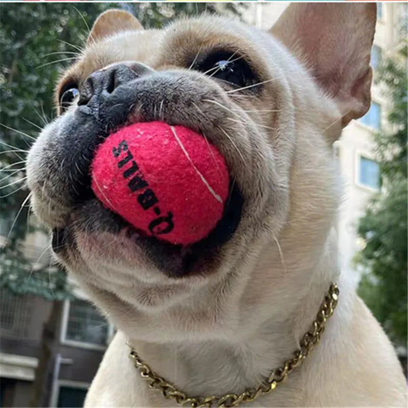 4Pcs/Set Dog Toy Q-MONSTER Thick Walled Natural Rubber Squeak Chew Balls for Dogs Tennis Interactive Bouncy Balls for Training
