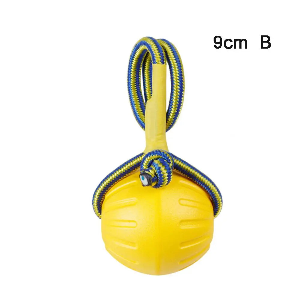Indestructible Rubber Dog Ball – Chew, Training & Fetch Toy (7cm / 9cm)