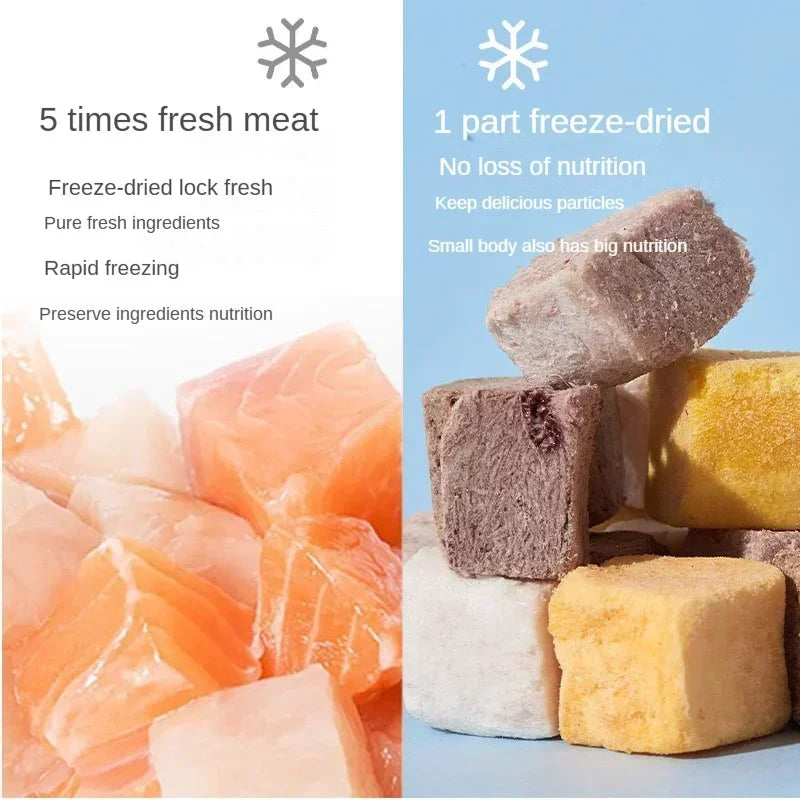 Freeze-Dried Pet Snacks – Chicken, Duck, Beef & Fish
