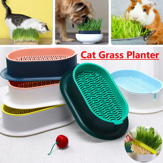 Cat Grass Growing Box – Hydroponic Planter for Pets
