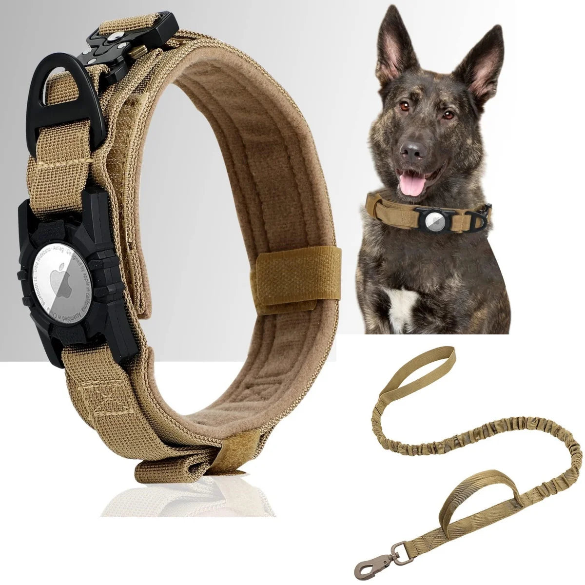 Adjustable Nylon AirTag Dog Collar – Metal Buckle