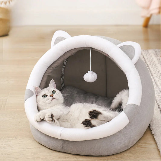 All-Season Semi-Enclosed Cat House & Dog Kennel