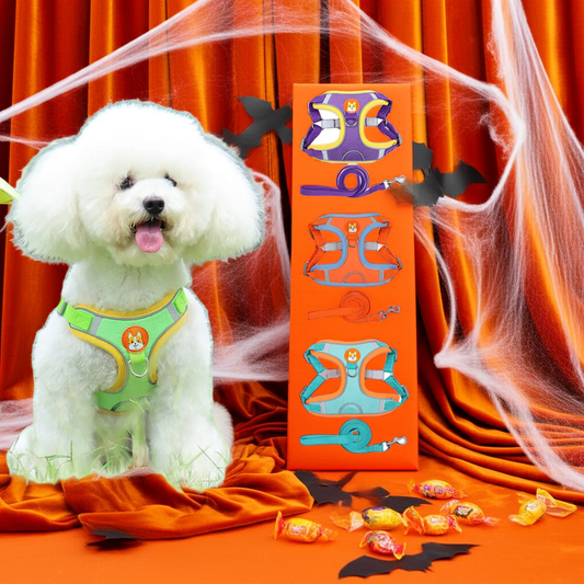 Adjustable Dog Harness & Leash Set