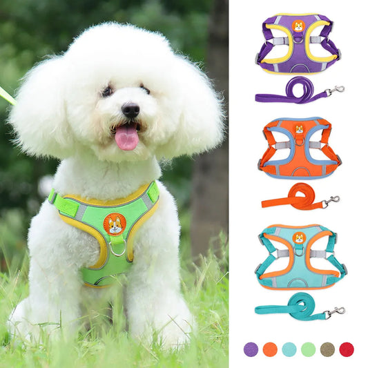 Adjustable Dog Harness & Leash Set